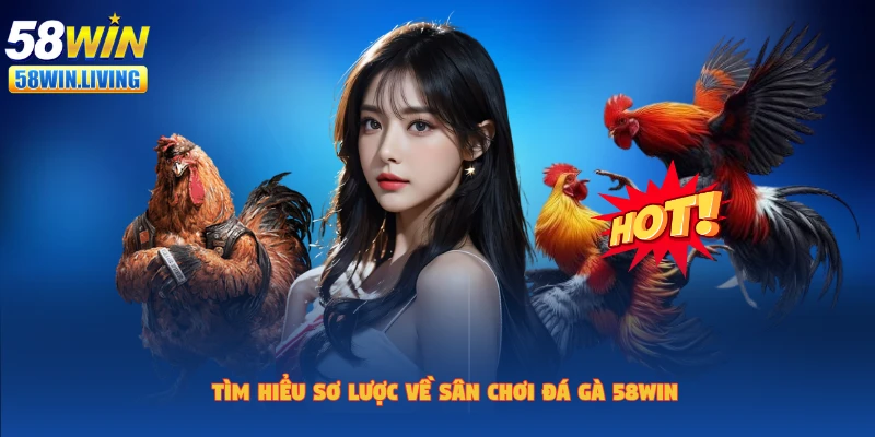 Giới thiệu chung về đá gà 58win