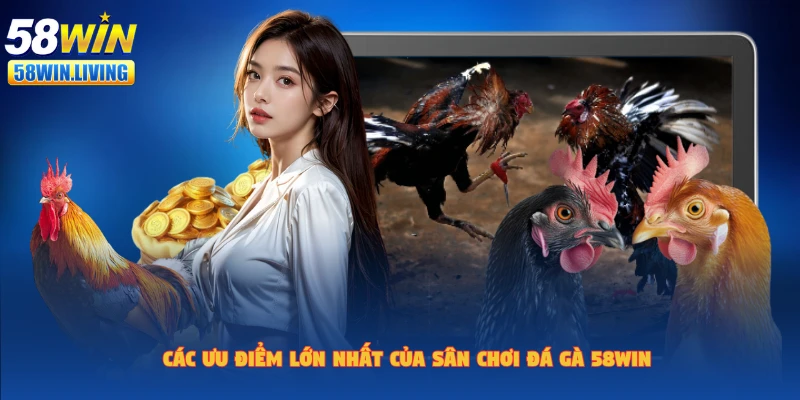 Đá gà 58win và những cái nhất