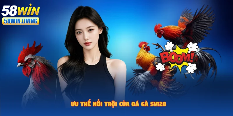 Sảnh đá gà SV128 có nhiều ưu điểm