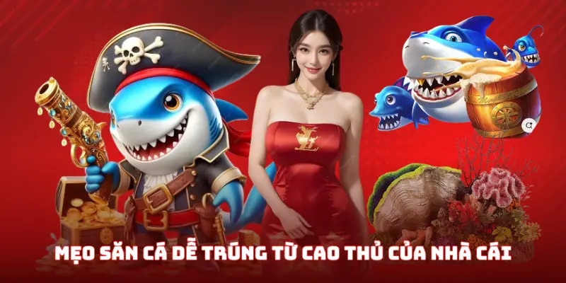 Mẹo bắn cá rùa xanh